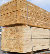 新西兰辐射松 农业与林业的绿色瑰宝