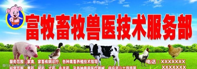 专业兽药与家禽技术服务 高效养殖的守护者